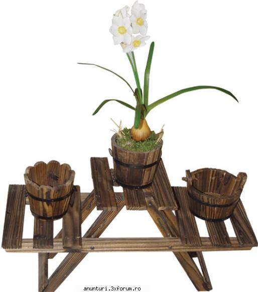 producator mobilier de gradina din lemn masiv. noi iti mobilam gradina cu foisoare, si canapele,