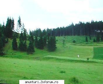 partie ski incepatori - AFACERE 2 terenuri extravilane,10200 mp si 5300 - Altele