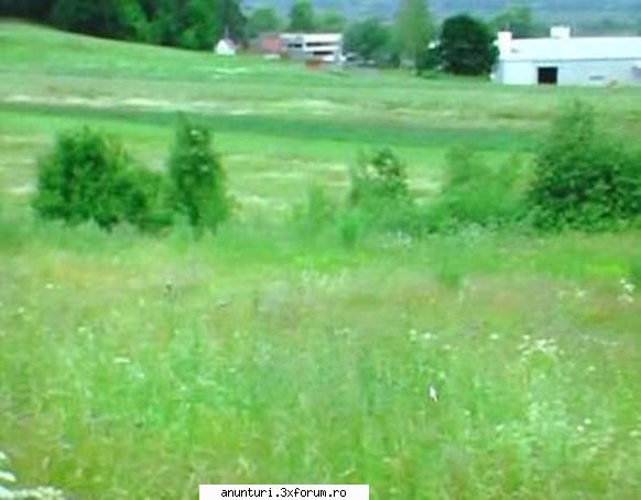vand teren 26000 mp statiunea MIERCUREA CIUC - vand teren extravilan , 2,6 ha (front 100m ) - Altele